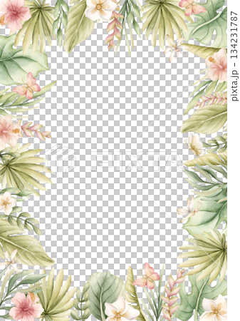 Monstera Palm Leaves Hibiscus Plumeria Flowers. Tropical Exotic frame. Watercolor hand painted summer pastel neutral isolated illustration on white background for nursery kids baby card logo label 134231787