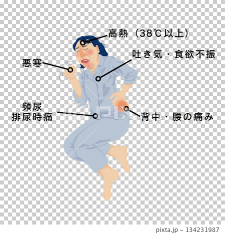 腎盂腎炎の症状を示す女性患者の医療イラスト｜高熱・悪寒・腰背部痛・排尿時痛 134231987