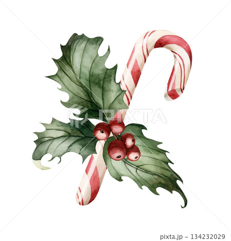 Candy cane with holly berry. Winter floral arrangement. Watercolor hand drawn isolated illustration on white background for Christmas New Year design cards holiday print home textile botanical poster 134232029