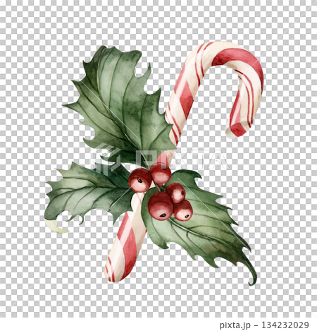 Candy cane with holly berry. Winter floral arrangement. Watercolor hand drawn isolated illustration on white background for Christmas New Year design cards holiday print home textile botanical poster Candy cane with holly berry. Winter floral arrangement. Watercolor hand drawn isolated illustration on white background for Christmas New Year design cards holiday print home textile botanical poster 134232029