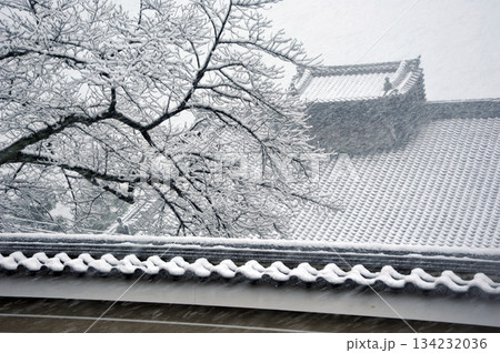 雪降る建仁寺 134232036