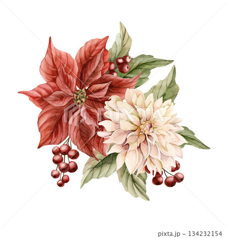 Red Poinsettia and Dahlia flowers with leaves red berries. Winter floral arrangement. Watercolor hand drawn isolated illustration on white background for Christmas New Year design cards holiday print 134232154