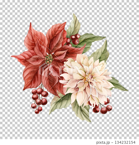 Red Poinsettia and Dahlia flowers with leaves red berries. Winter floral arrangement. Watercolor hand drawn isolated illustration on white background for Christmas New Year design cards holiday print 134232154