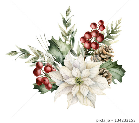 White Poinsettia with Pine Cones Holly Berry Eucalyptus. Winter floral arrangement. Watercolor hand drawn isolated illustration on white background for Christmas New Year design cards holiday print White Poinsettia with Pine Cones Holly Berry Eucalyptus. Winter floral arrangement. Watercolor hand drawn isolated illustration on white background for Christmas New Year design cards holiday print 134232155