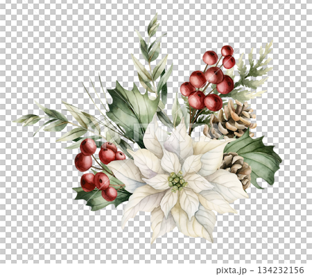 White Poinsettia with Pine Cones Holly Berry Eucalyptus. Winter floral arrangement. Watercolor hand drawn isolated illustration on white background for Christmas New Year design cards holiday print White Poinsettia with Pine Cones Holly Berry Eucalyptus. Winter floral arrangement. Watercolor hand drawn isolated illustration on white background for Christmas New Year design cards holiday print 134232156