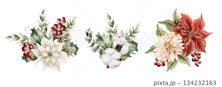 Winter floral arrangement set. Poinsettia flower Holly berry Eucalyptus cotton Dahlia. Watercolor hand drawn isolated illustration on white background for Christmas New Year design cards holiday print 134232163