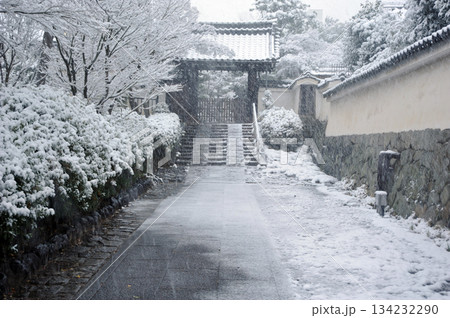 雪の積もった西来院の山門 雪の積もった西来院の山門 134232290