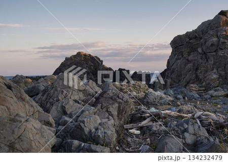 核戦争後の世界 134232479