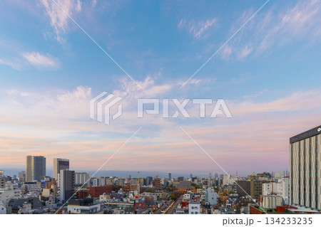 浅草寺の風景 134233235