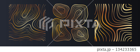 Golden Organic Line Poster Set for Premium Decor Golden Organic Line Poster Set for Premium Decor 134233365