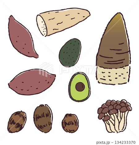 芋類、きのこ、アボガド、たけのこの手描き野菜 芋類、きのこ、アボガド、たけのこの手描き野菜 134233370