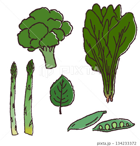 手描きの野菜セット 緑色の野菜 手描きの野菜セット 緑色の野菜 134233372