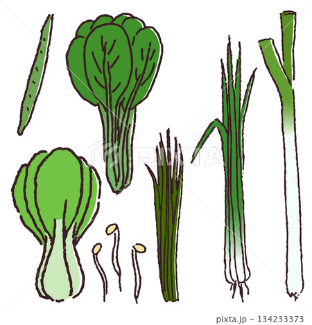 手描きの野菜セット　葉物野菜など 134233373