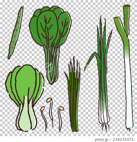 手描きの野菜セット　葉物野菜など 134233373