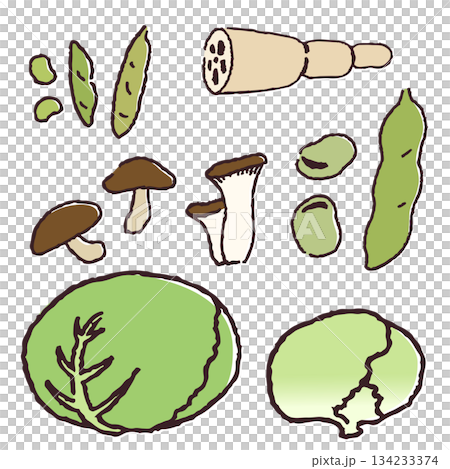 手描きの野菜、豆類、きのこ類 手描きの野菜、豆類、きのこ類 134233374