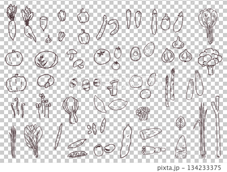 Set of various vegetables hand-drawn line drawings 134233375