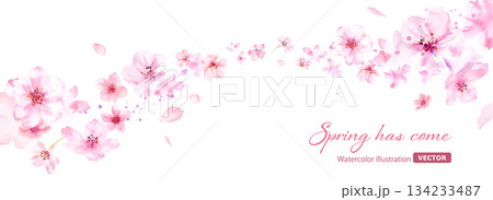 春の花:風に乗って流れる桜と花びらの背景。水彩イラスト。ルーズタッチ。(ベクター) 春の花:風に乗って流れる桜と花びらの背景。水彩イラスト。ルーズタッチ。(ベクター) 134233487