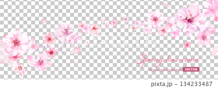 春の花:風に乗って流れる桜と花びらの背景。水彩イラスト。ルーズタッチ。(ベクター) 春の花:風に乗って流れる桜と花びらの背景。水彩イラスト。ルーズタッチ。(ベクター) 134233487