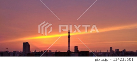 夕焼けに染まる東京スカイツリーのシルエット 夕焼けに染まる東京スカイツリーのシルエット 134233501