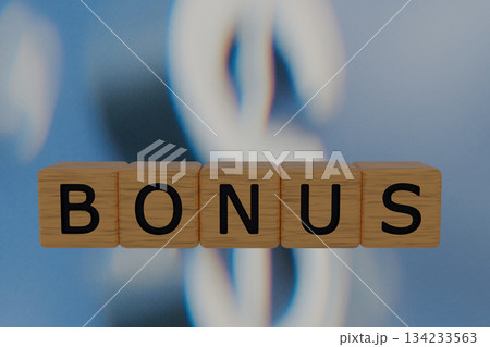 Bonus finance money reward incentive salary wood block text dollar symbol savings income wage pay payroll office business Bonus finance money reward incentive salary wood block text dollar symbol savings income wage pay payroll office business 134233563