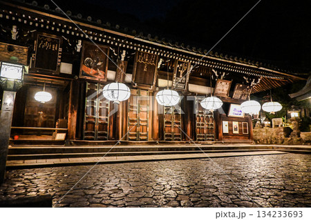 奈良・夜の二月堂 134233693