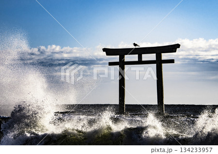大洗　神磯の鳥居 134233957