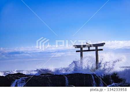 大洗　神磯の鳥居 134233958