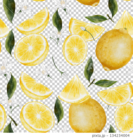 Lemon seamless pattern watercolor. Hand drawn tropical sour fruit. Clip art of juicy yellow lime. Citrus on isolated white background. Ideal for logo and packaging of natural cosmetics, household 134234004