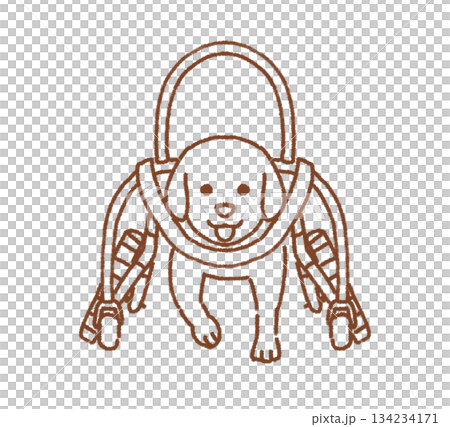 車椅子で歩く犬 134234171