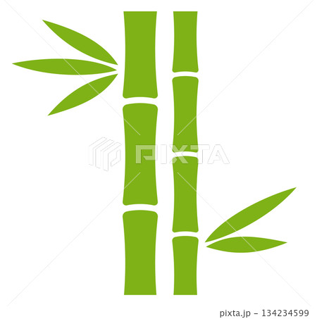 A bamboo plant with green leaves and a white background A bamboo plant with green leaves and a white background 134234599