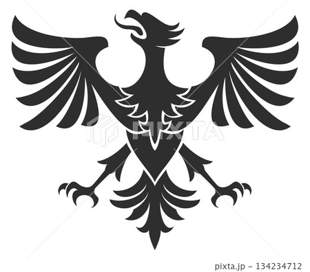 A black and white bird with a red beak and orange feathers A black and white bird with a red beak and orange feathers 134234712