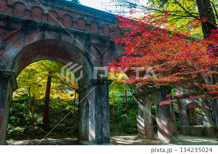 紅葉の水路閣_2547 134235024