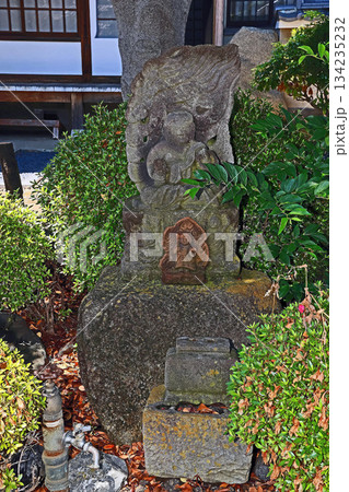 平等寺（戸田） 134235232