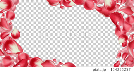 Diagonal floral pattern of red rose petals with fresh morning dew drops.Painted in soft watercolor with delicate textures,elegant design for romantic branding,wedding decor,luxury paper goods 134235257