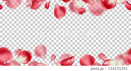 Floral seamless border of lush red rose petals adorned with glistening water droplets.Romantic watercolor design with soft textures for Valentine's Day branding,wedding stationery,invitation 134235261