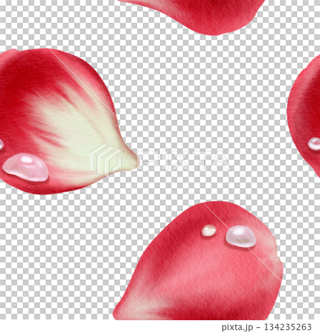 Floral seamless pattern of lush red rose petals adorned with glistening water droplets.Romantic watercolor design with soft textures for Valentine's Day branding,wedding stationery,invitation 134235263