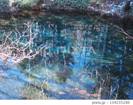 朝の神の子池の風景 朝の神の子池の風景 134235280