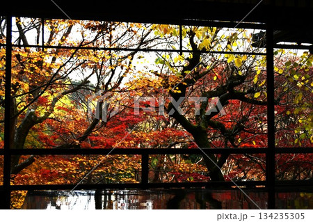 写経机と紅葉 写経机と紅葉 134235305