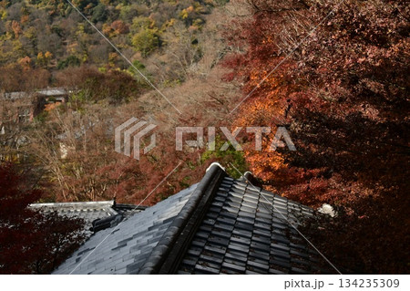 瑠璃光院　紅葉 134235309