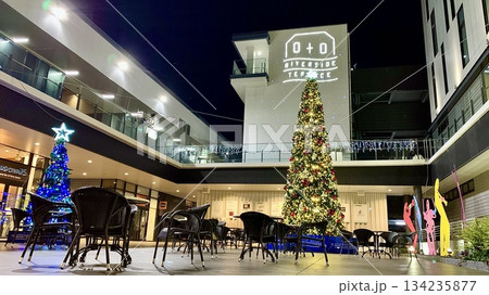 クリスマスツリーに彩られたオトリバーサイドテラスの夜景〈乙川河川緑地/愛知県岡崎市〉 クリスマスツリーに彩られたオトリバーサイドテラスの夜景〈乙川河川緑地/愛知県岡崎市〉 134235877