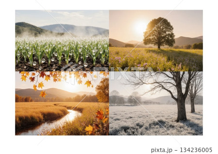 Crypto Market Cycle as Four Seasons in One Landscape 134236005