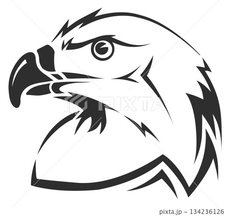 A black and white eagle head with a fierce expression A black and white eagle head with a fierce expression 134236126