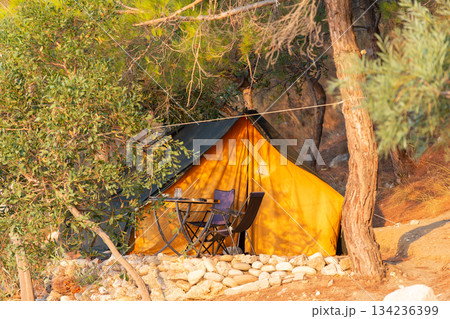 Tourist yellow tent among coniferous trees in the highlands. Rest and relaxation in nature in solitude. 134236399