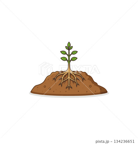 New beginnings seedling illustration emerging from earthy mound representing growth and potential 134236651