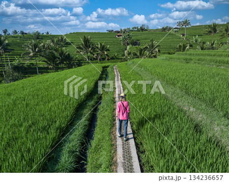 Woman Gazes At Expansive Bali Rice Terraces While Walking Along Narrow Trail 134236657