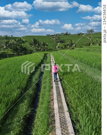 Woman Gazes At Expansive Bali Rice Terraces While Walking Along Narrow Trail Woman Gazes At Expansive Bali Rice Terraces While Walking Along Narrow Trail 134236658