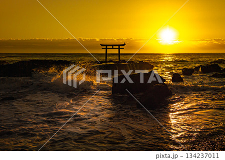 大洗海岸の鳥居と朝日 134237011