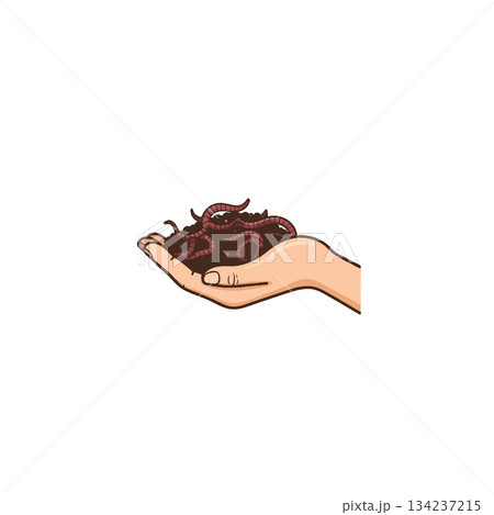Hand holding a cluster of earthworms offering organic gardening enrichment and eco friendly soil Hand holding a cluster of earthworms offering organic gardening enrichment and eco friendly soil 134237215