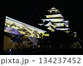 ライトアップされた会津鶴ヶ城 134237452