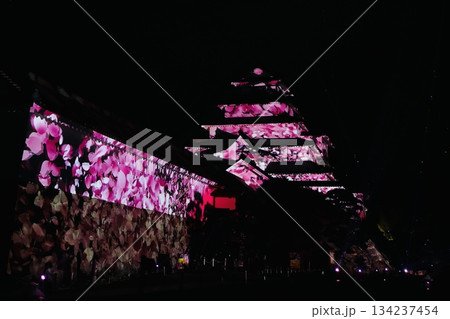 春のライトアップされた会津鶴ヶ城 134237454